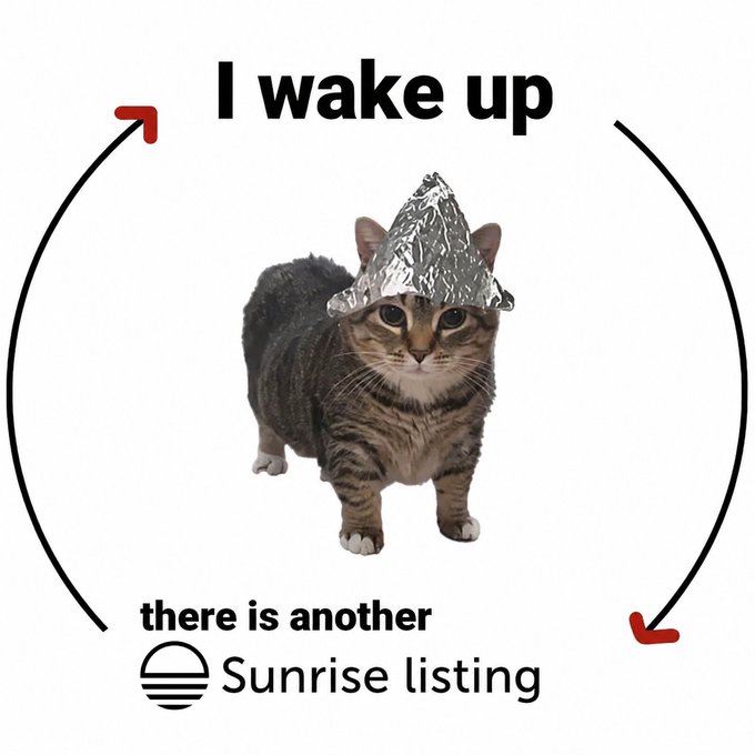 A tinfoil-hat-wearing cat stands in a circular meme showing the daily cycle of "I wake up" and "there is another Sunrise listing," humorously depicting the repetitive pattern of new crypto launches while the post promotes $CWTFH as a $PCAT-related token claiming to be two days older.