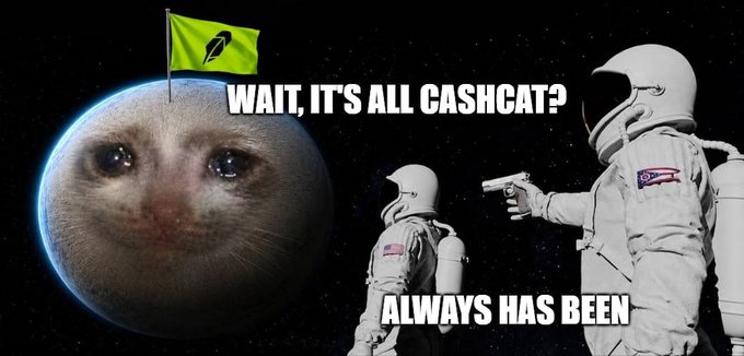 The image is a classic "Always Has Been" astronaut meme, featuring a cat's face superimposed on a planet with a flag, while an astronaut points a gun at another astronaut, asking "Wait, it's all Cashcat?" The "Always has been" response perfectly complements the post's message about being destined to be the Cashcat, creating a humorous revelation moment about the poster's true identity.