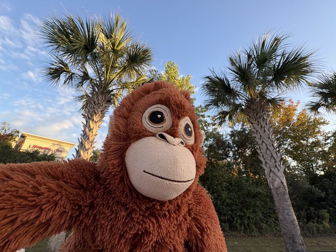A large stuffed orangutan toy posing outdoors with palm trees and a clear blue sky in the background.