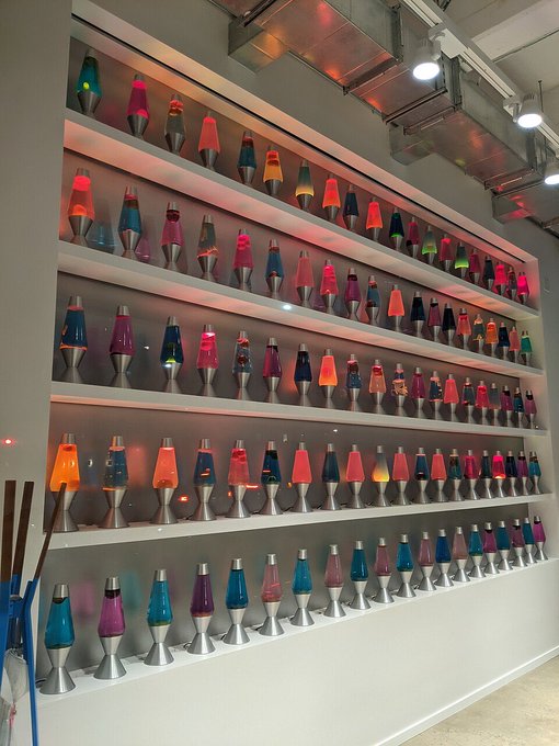 An interior shot of a store with multiple wall-mounted shelves displaying dozens of colorful, illuminated lava lamps in various shapes and sizes.