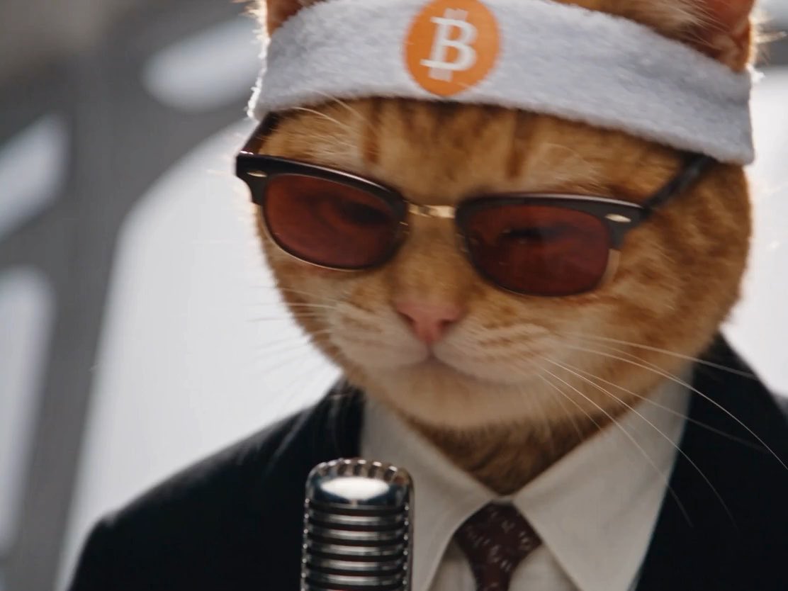 A digital illustration features an orange tabby cat wearing a white Bitcoin headband, red-tinted sunglasses, a suit, and tie, posed in front of a vintage microphone.
