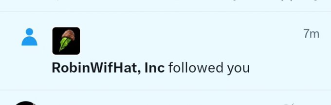 Social media notification showing "RobinWifHat, Inc followed you" with a turkey waffle icon.