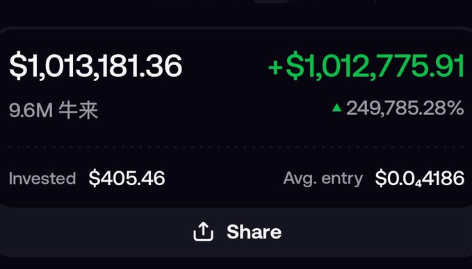 A financial dashboard displaying $1,013,181.36 with a +$1,012,775.91 gain (249,785.28% increase) on 9.6M units, invested $405.46 at an average entry of $0.04186.