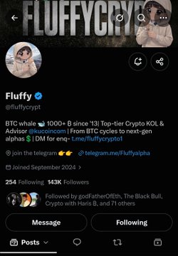 A social media profile for the crypto X account “FLUFFYCRYPTO,” showing 143K followers and references to KOL, BTC, alphan, and a Telegram group at t.me/fluffycrypto.