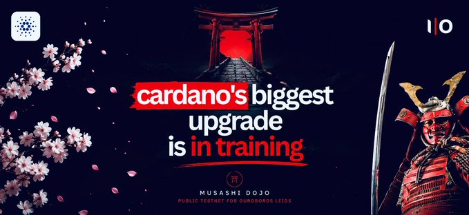 A promotional graphic for Cardano's Musashi Dojo public testnet for Ouroboros Leios features a samurai warrior against a Japanese-themed backdrop with cherry blossoms and a torii gate, with the bold text "cardano's biggest upgrade is in training" highlighting the network's major upcoming throughput upgrade.