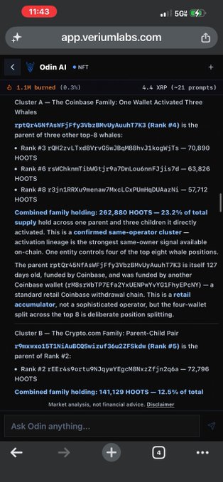 A mobile screenshot of app.veriumlabs.com showing an 'Odin AI' NFT analysis revealing a 'Coinbase Family' wallet cluster with combined holdings of 262,880 HOOTS, identified as a confirmed same-operator cluster.