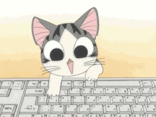 ikebana cat, with gray and white fur, pink ears, and black eyes, sits on a computer keyboard against an orange background.