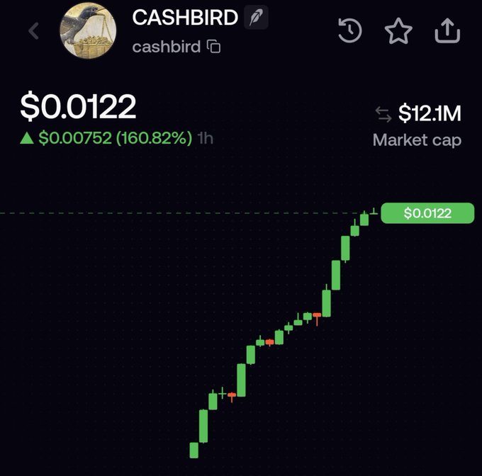 A crypto price chart for 'CASHBIRD' (cashbird) showing a price of $0.0122 with a 160.82% increase and $12.1M market cap, displaying a strong upward candlestick trend.
