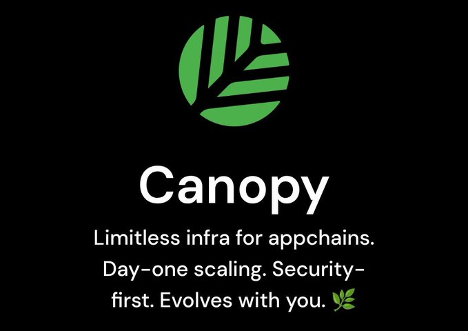 Canopy (@CNPYNetwork) logo featuring a stylized green circular leaf emblem above the tagline "Limitless infra for appchains. Day-one scaling. Security-first. Evolves with you." The image visually reinforces the post's message about Canopy's mission to simplify Web3 and blockchain development for builders, with the leaf motif symbolizing growth and the natural evolution referenced in the tagline.