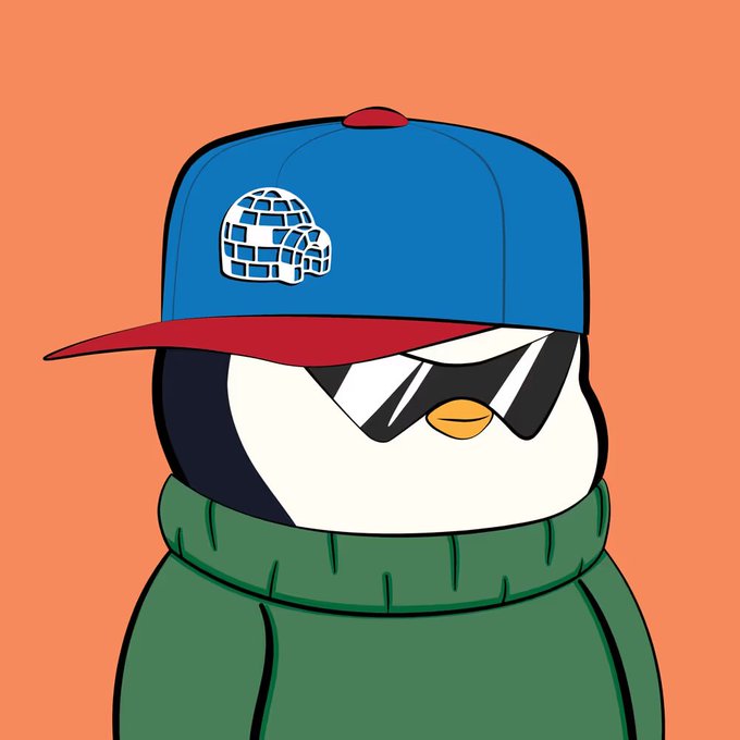 A cartoon penguin wearing a blue and red cap with an igloo logo, sunglasses, and a green sweater on an orange background.