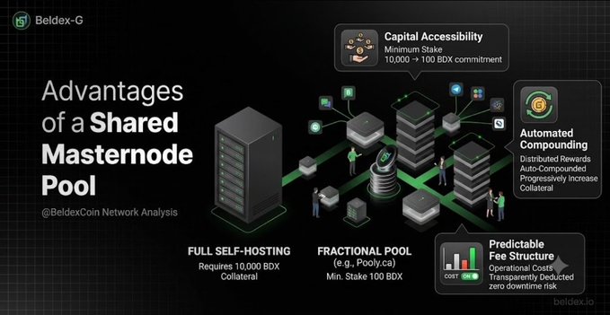 An infographic detailing the 'Advantages of a Shared Masternode Pool' by 'Beldex-G', showing features like Capital Accessibility, Automated Compounding, and Predictable Fee Structure.