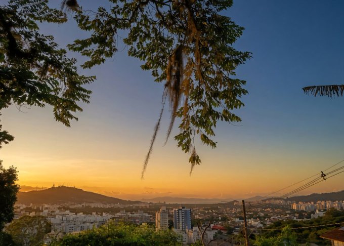 A sunset cityscape view with tree branches and Spanish moss hanging in the foreground, overlooking a sprawling urban area with distant mountains, likely in Brazil.