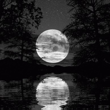 A full moon illuminates a serene lake, casting a soft glow on the surrounding trees and mountains, creating a tranquil scene of nature's beauty.