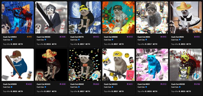 The image displays a grid of twelve "Cash Cat" NFT collectibles, each listed with a price of 0.0055 ETH and varying rarity rankings (e.g., #301, #7779, #1582) along with top offer values, illustrating the poster's collection of rare digital cat art assets. The contrast between the poster's statement about owning rare Cash Cats and the uniform 0.0055 ETH listings highlights the discrepancy between stated rarity and current market value.