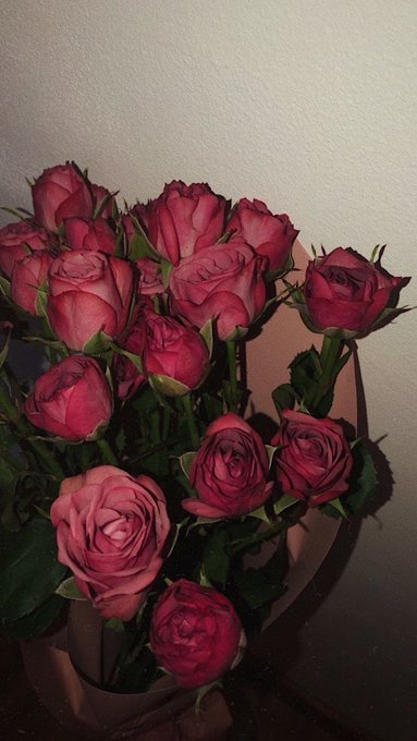 A bouquet of vibrant pink and magenta roses with green leaves arranged in a container, photographed against a plain light-colored wall in dim lighting.