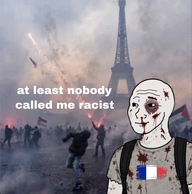 A 'wojak' style meme character with a bruised, bloodied face wearing a shirt with the French flag stands in the foreground before a chaotic scene of civil unrest, smoke, and flares with the Eiffel Tower in the background; overlaid text reads 'at least nobody called me racist'.