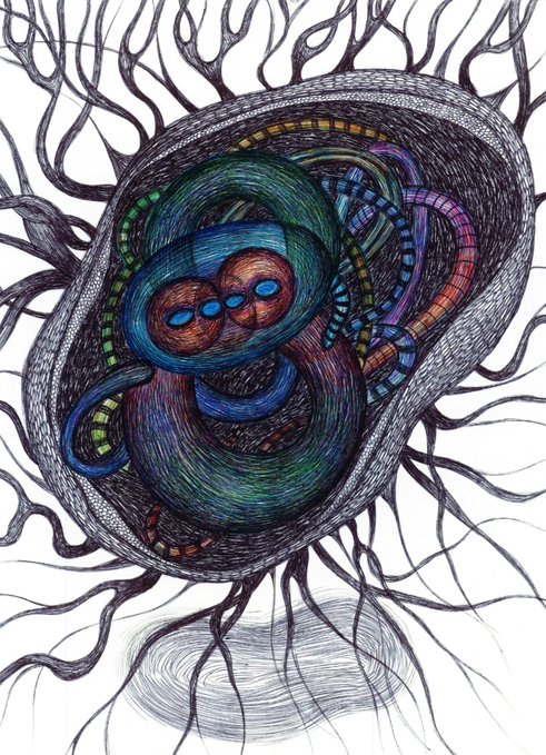 An abstract, colorful drawing depicts a swirling, organic mass of interconnected shapes and lines, resembling a complex biological structure or cell.