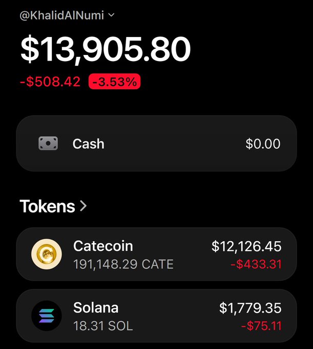 A crypto portfolio screenshot for @KhalidAlNumi shows a total balance of $13,905.80, down $508.42 (-3.53%), with holdings of 191,148.29 Catecoin ($CATE) worth $12,126.45 and 18.31 Solana ($SOL) worth $1,779.35. The image supports the post's celebratory tone by displaying the user's memecoin gains, which they're crediting to their investment in $CATE.