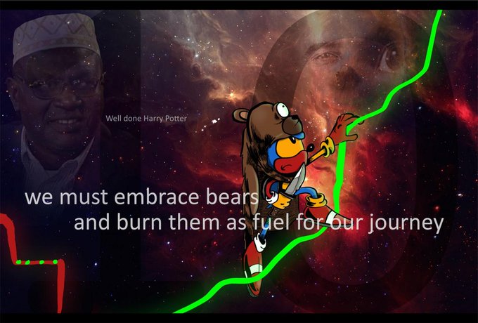 A meme features cartoon character Peter Griffin wearing a bear costume in space, overlaid on a cosmic background with a man's face, with text reading 'Well done Harry Potter' and 'we must embrace bears and burn them as fuel for our journey'.