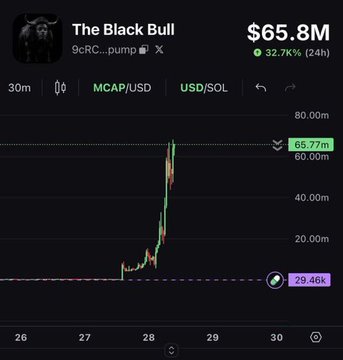 The image shows a cryptocurrency chart for "The Black Bull" (9cRC...pump) with a current market cap of $65.8M, up 32.7% in 24 hours, displaying a sharp vertical price spike. It relates to the post's theme of massive overnight gains on meme coins, illustrating the kind of parabolic price action that transforms small initial investments into life-changing sums like the $300-to-$689,000 example mentioned.