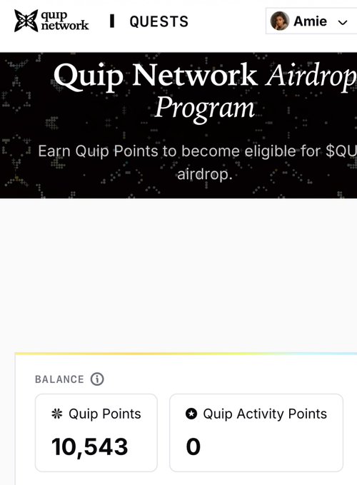 A screenshot of the 'Quip Network Airdrop Program' page, showing a user named Amie with a balance of 10,543 Quip Points.