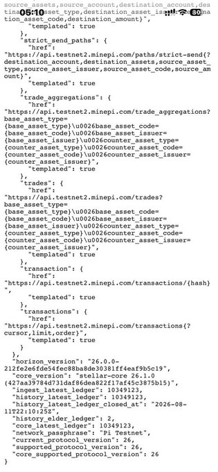 A screenshot of terminal output containing JSON-formatted API configuration data with timestamps '2026-08-11T22:10:25Z' and '2026-08-11T22:10:22Z', showing endpoints like 'api.testnet2.minepi.com' with trade aggregations and transaction queries.