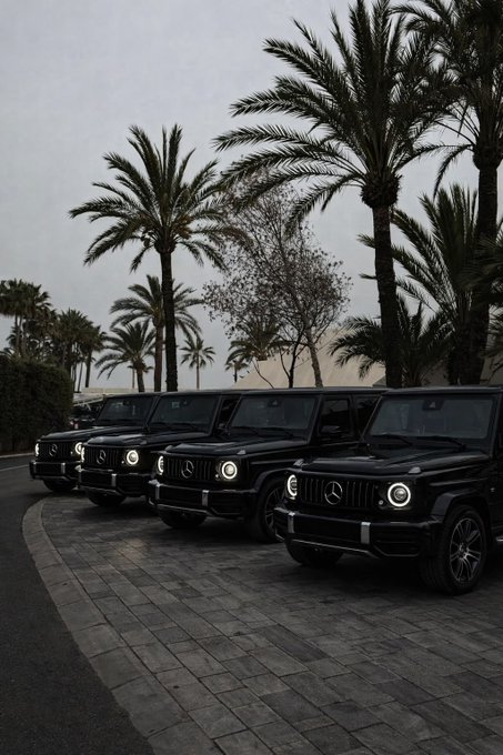 A row of black Mercedes-Benz G-Class SUVs parked on a paved area lined with tall palm trees at dusk.