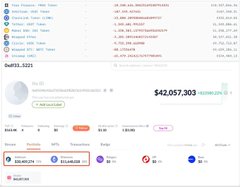 A screenshot of a crypto portfolio tracker dashboard showing a total balance of $42,057,303 with token holdings including SEAM, GUN, ECMR, REVU, and PEPE listed in the top gainers.