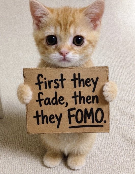 An orange kitten holding a cardboard sign that reads 'first they fade, then they FOMO.'