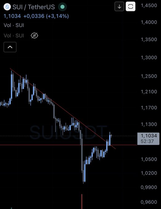 A candlestick price chart for the SUI/TetherUS trading pair showing SUI at 1.1034 (+3.14%), with a descending trendline and visible price levels ranging from approximately 0.9600 to 1.4500.