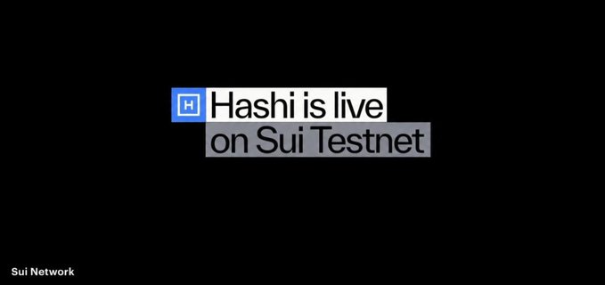 A promotional graphic with black background displaying 'Hashi is live on Sui Testnet' alongside the Hashi logo, with 'Sui Network' text in the bottom left corner.