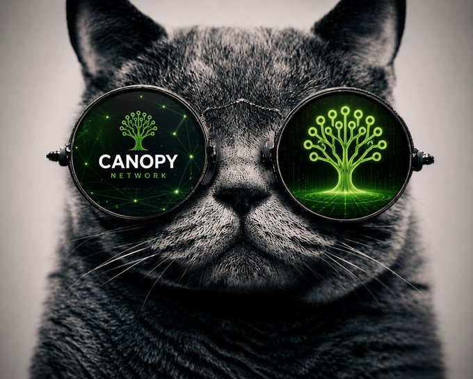 A black-and-white close-up of a cat wearing round sunglasses whose lenses display glowing green tech-themed logos reading "CANOPY NETWORK" alongside tree/circuit designs.