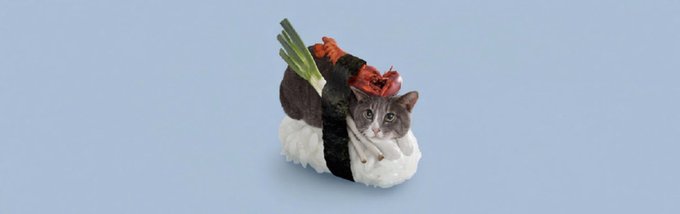 A small figurine of a cat-shaped sushi roll with rice, seaweed, and crab sits against a gray background, matching the $SUSHICAT meme coin being promoted. The whimsical cat sushi image visually reinforces the token's name and branding on the Robinhood Chain.