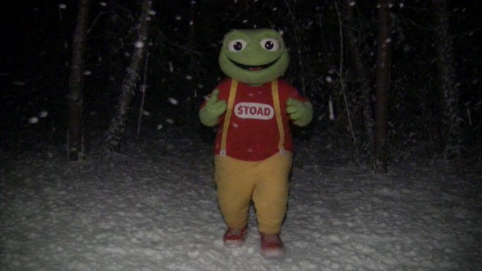 A costumed frog mascot in a red shirt reading 'STOAD' and yellow pants stands in a dark, snowy forest setting.