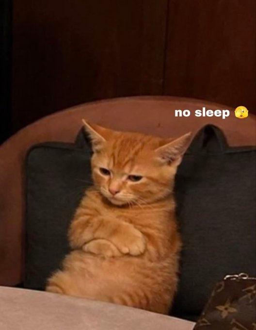 An orange tabby cat sits with crossed paws against a dark pillow, looking sleepy or grumpy, with the text 'no sleep' and a sleeping emoji overlaid.