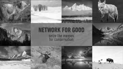 Black-and-white collage of nature and wildlife imagery (mountains, elk, bison, trees, waterscapes) surrounding the centered text 'NETWORK FOR GOOD - seize the memes for conservation'.