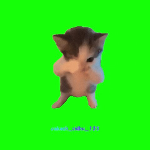 None
