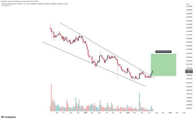 A TradingView candlestick chart labeled 'FLOKI' showing a parallel descending channel pattern with a potential upward target of 486% (+4.84).