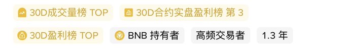 This image displays cryptocurrency trading accolades, including "30D Volume TOP", "30D Contract Real Trading Profit Ranking #3", and "1.3 years" tenure as a "BNB Holder" and "High-Frequency Trader". This directly relates to the post's boast of financial success through trading, hinting at a top ranking on Binance.