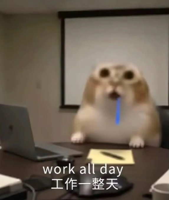 A humorous image of a cat with a blue tear/stream overlay sitting at a desk with a laptop, with the text 'work all day' and '工作一整天' (work all day in Chinese).