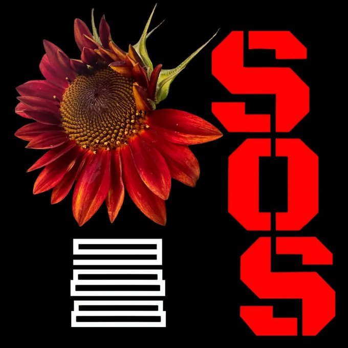 A graphic design featuring a red flower against a black background alongside the red vertical "SOS" text and white horizontal bars.