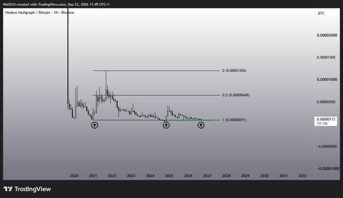 A logarithmic Hedera Hashgraph/Bitcoin (HBAR/BTC) chart on Binance shows price consolidating near the 1.0 Fibonacci level at 0.00000091, with marked points at 0 (0.00001204) and 0.5 (0.00000648) levels spanning 2020-2032, suggesting that despite HBAR's nominal gains, its performance against BTC remains stagnant.