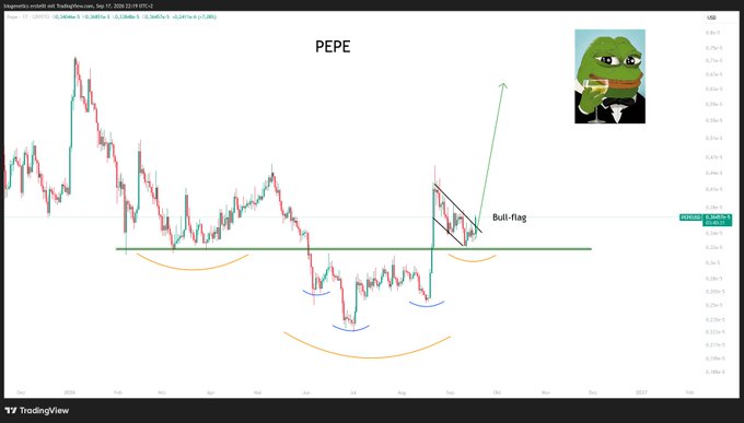 A TradingView chart for the PEPE/USDT cryptocurrency pair showing technical analysis with a 'Bull-flag' pattern marked, featuring an inset image of the Pepe the Frog meme character.