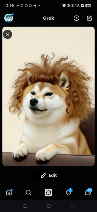 A screenshot of the Grok app displays an AI-generated image of a Shiba Inu dog with a curly brown wig.