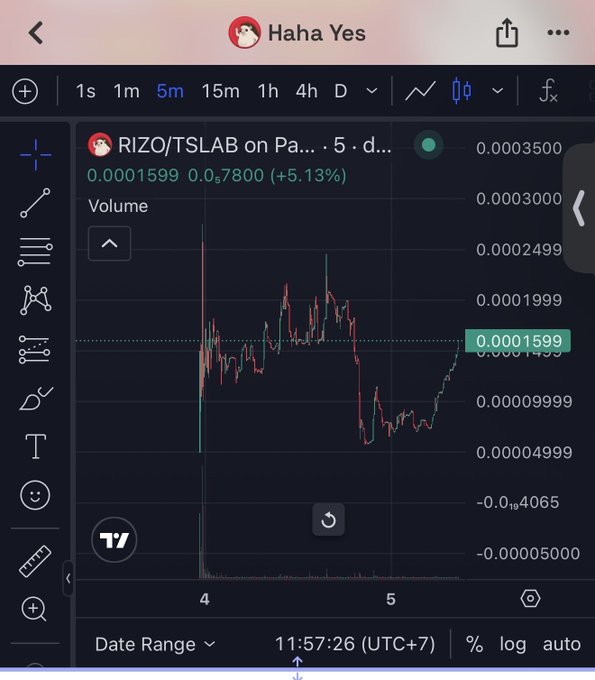 Mobile TradingView chart for the RIZO/TSLAB pair on PancakeSwap, showing a 5-minute timeframe with a price of 0.00015999 (+5.13%).