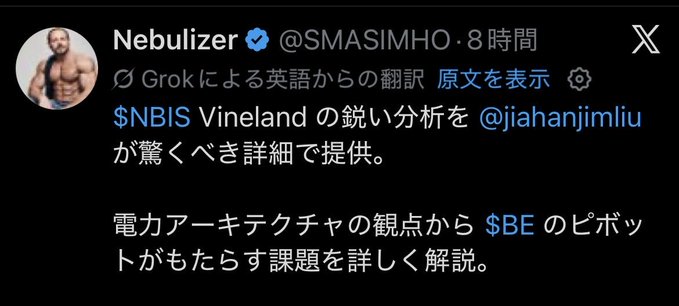 The image shows a Japanese X (formerly Twitter) post from verified user "Nebulizer" (@SMASIMHO) referencing a translation by Grok. It mentions $NBIS and Vineland analysis by @jiahanjimliu, and discusses power architecture challenges affecting $BE (likely referring to BE Semiconductor). The post relates to the accompanying context by highlighting how English-speaking hardcore investors remain steadfast during the downtrend of stocks like $NBIS and $BE, while the Japanese investing community expresses greater concern about the pain from memory and AI-related declines.
