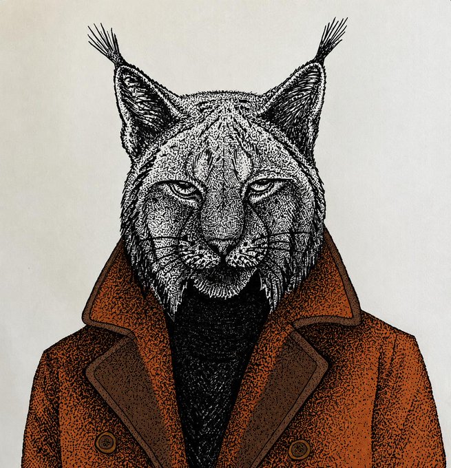 A detailed black and white pen-and-ink illustration portrays a lynx or bobcat head with distinctive tufted ears, wearing a textured brown coat over a black shirt.