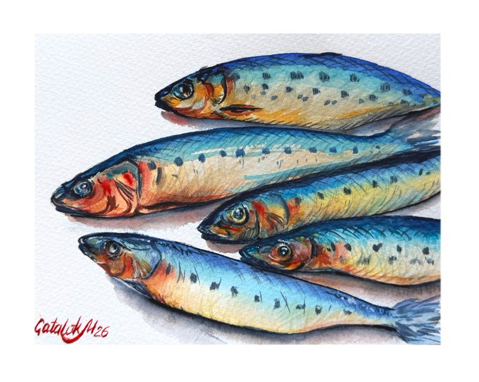 A watercolor painting of several trout or salmon fish with blue backs, spotted patterns, and orange-red gill markings, signed 'Gatalica A26' in the bottom left corner.