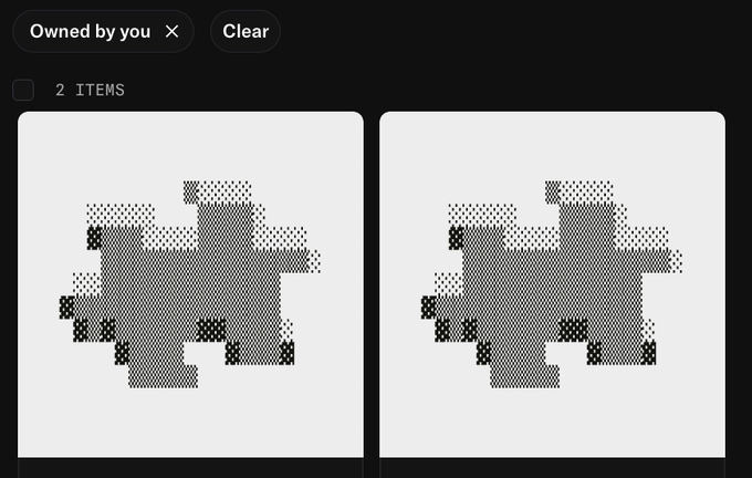 Two nearly identical abstract digital artworks displayed side by side under the filter "Owned by you" with "2 ITEMS" indicated, representing the two @traceforms NFTs that were just minted.