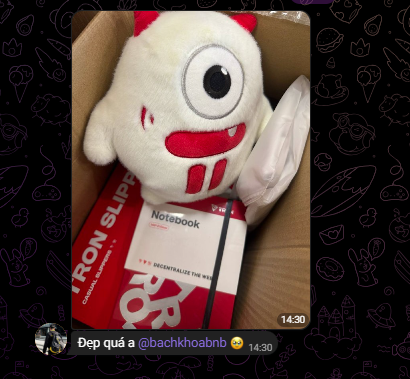 A Discord message features a plush toy with one big eye and red lips sitting in a box on top of a notebook, with a message in Vietnamese tagging "@bachkhoabnh."
